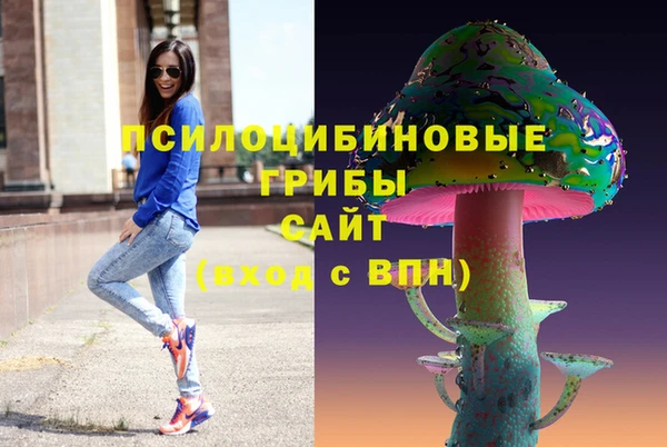 дурь Михайловск