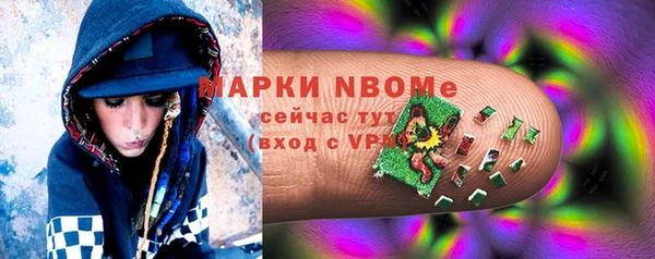 сатива Михайловка