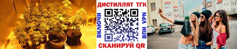 блэк спрут tor  Нижняя Салда  Дистиллят ТГК гашишное масло 