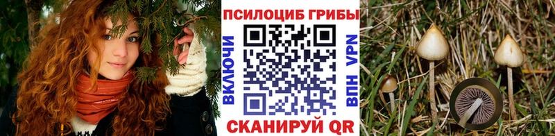 Псилоцибиновые грибы MAGIC MUSHROOMS  сколько стоит  Нижняя Салда 